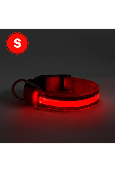 PROCART LED light collar for dogs, size S, 3 lighting modes Red
