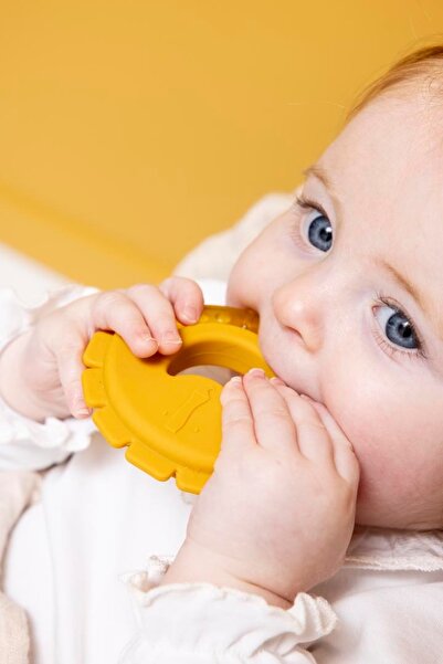 Trixie Mr. Lion Serinletici Diş Kayıcı