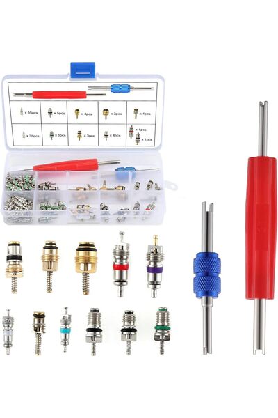 Generic OCR 102PCS Car Air Conditioner Valve Core Kit (R12/R134a) with Dual Remover Tools