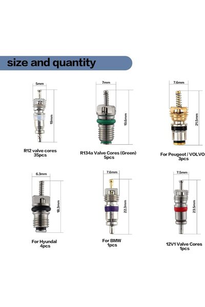 Generic OCR 102PCS Car Air Conditioner Valve Core Kit (R12/R134a) with Dual Remover Tools