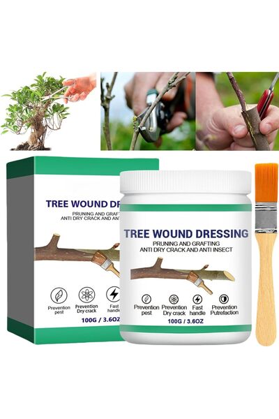 AZONEE معجون سد جروح الأشجار بالفرشاة والتقليم والتطعيم (100 جرام)