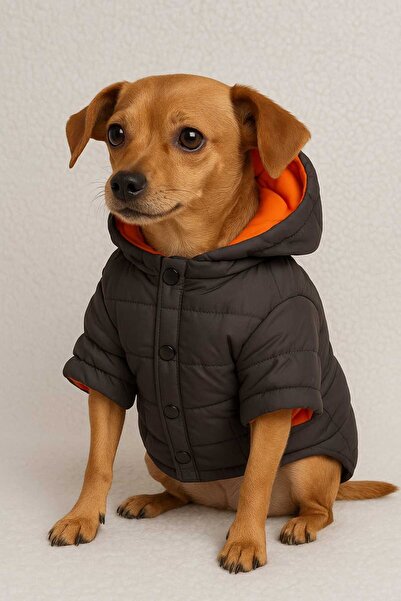 MİCRO SU GEÇİRMEZ KÜRKLÜ MONT/YAĞMURLUK KEDİ KÖPEK KIYFETİ