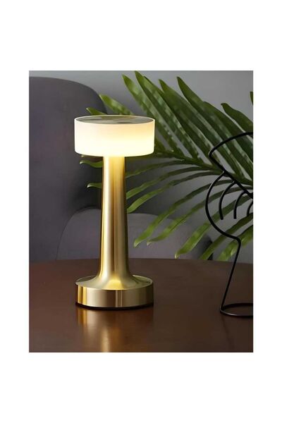 Edison Şarjlı Dokunmatik Dekoratif Masa Lambası, 3 Farklı Işık Rengi, Modern ...