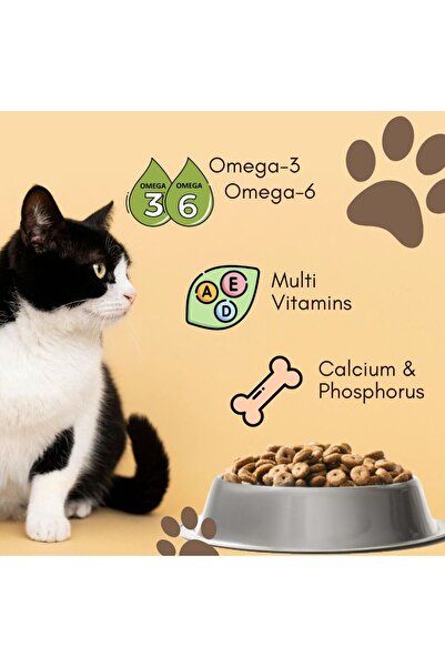 Goody Cat Food - Premium Dry Cat Food, Chicken Flavor - 500g