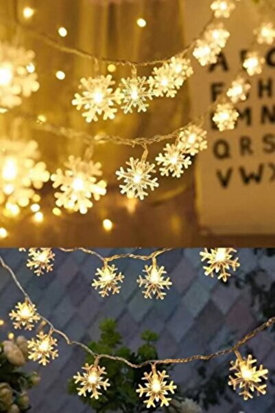 MAGICLEDCORNER Kartanesi 10 Metre 8 Animasyonlu Fişli Led Işık