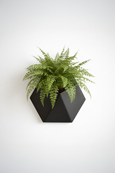 OEM Hexa Design Wall Pot – Matte Black Color