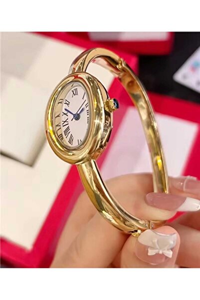 Graciana Women's watch with a modern design