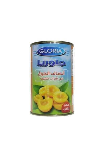 Gloria Peach Halves in Light Syrup - 425 g