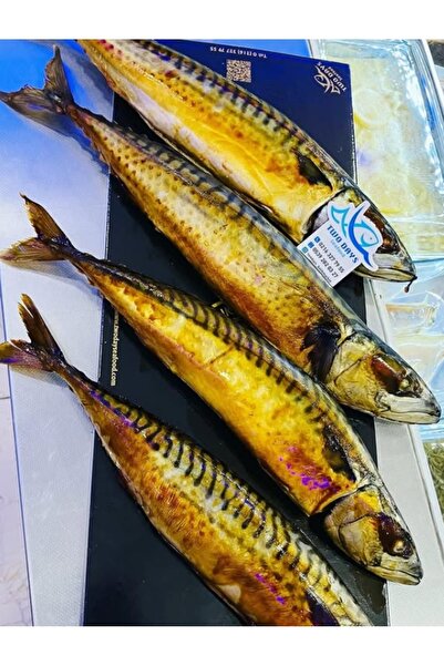 TwoDays İSLİ USKUMRU ÇİROZ - ADET