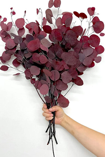 Goya Home Şoklanmış Dolar Okaliptus Kırmızı