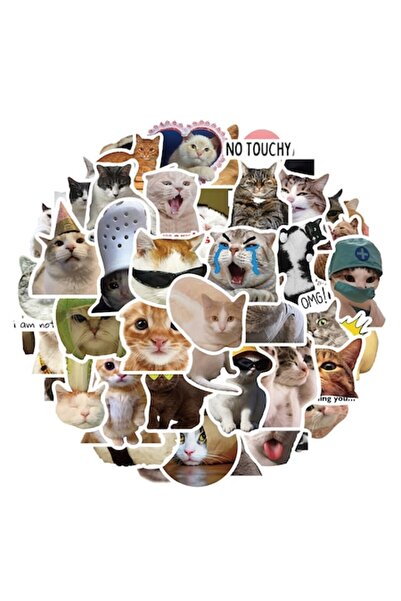 autostickere Set de 50 de stickere cu pisici, PVC, impermeabile, multicolore