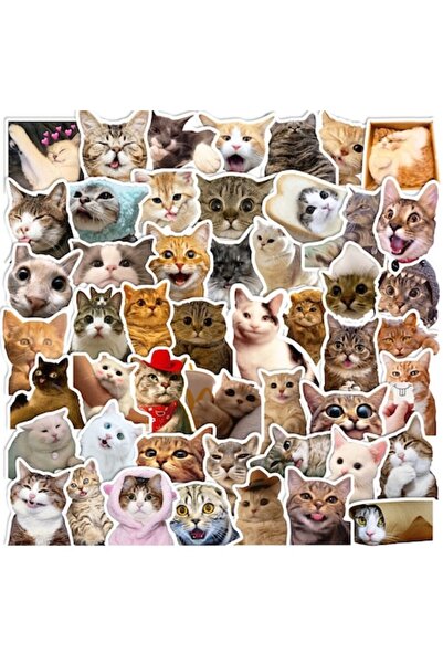autostickere Set de 50 de autocolante decorative Feicaeesa - Pisici artistice...