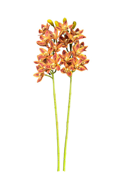 Lara Decor Kahve 2'li Sipidyum Orkide Demeti