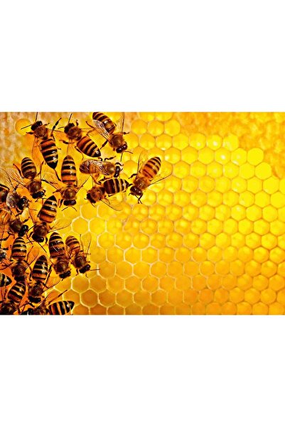 RAVENSBURGER Bees and Honeycomb Challenge Puzzle, 1000 Pieces