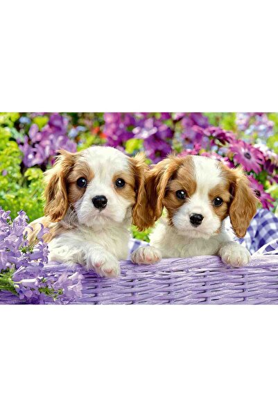 RAVENSBURGER Puppies Puzzle, 2X24 Pieces