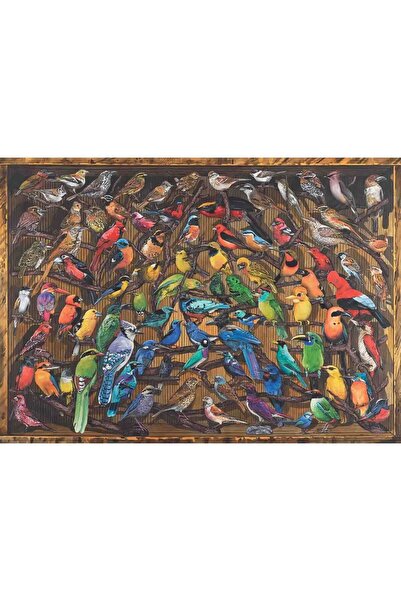 RAVENSBURGER Παζλ Πουλιά Ουράνιο Τόξο, 1000 Κομμάτια