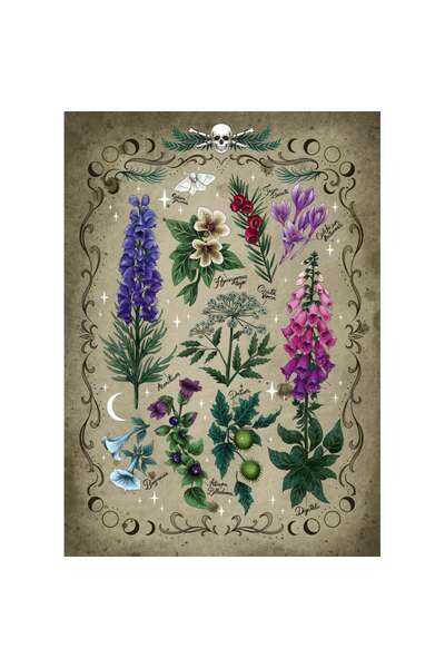 RAVENSBURGER - Poisonous plants puzzle 1000 pieces