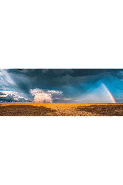 RAVENSBURGER Rainbow Panorama Puzzle, 1000 Pieces