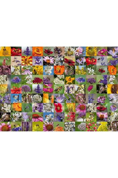 RAVENSBURGER Collage Puzzle With Bees And Flowers, 1000 Pieces