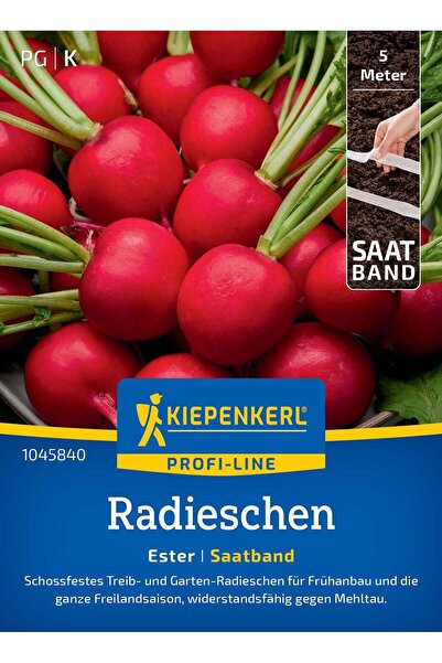 Kiepenkerl Seminte ridichi Ester F1 – crestere rapida si uniforma, cu protect...