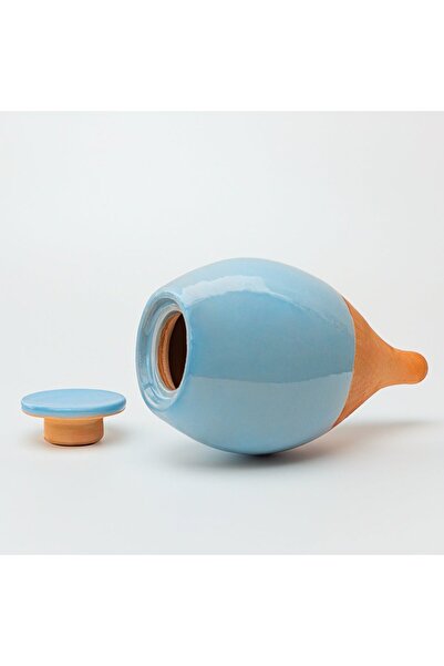 LUTOYA Blue Self-Watering Plant Vessel, Decorative Terracotta Ceramic, 200 ml