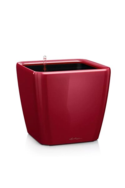 Lechuza Ghiveci cu auto-udare Quadro Premium 21 LS, 4 L, Burgundiu lucios