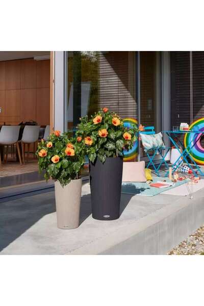 Lechuza Cilindro Color 23 Self-Watering Planter 5.5 L - Matte Black
