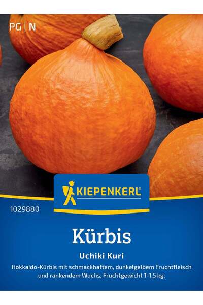 Kiepenkerl Seminte dovleac Uchiki Kuri – fructe portocalii si gust de castana...