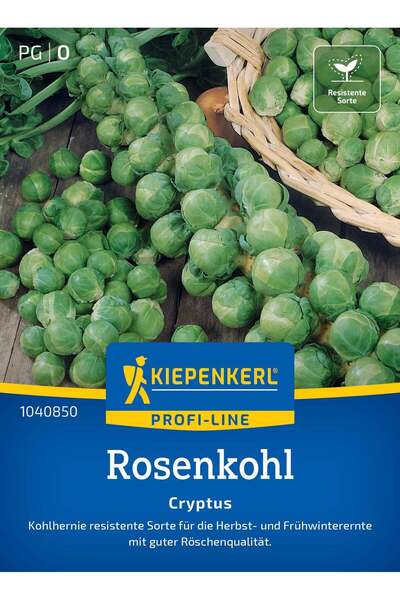 Kiepenkerl Seminte varza de Bruxelles Cryptus F1 – capatani compacte si gusto...