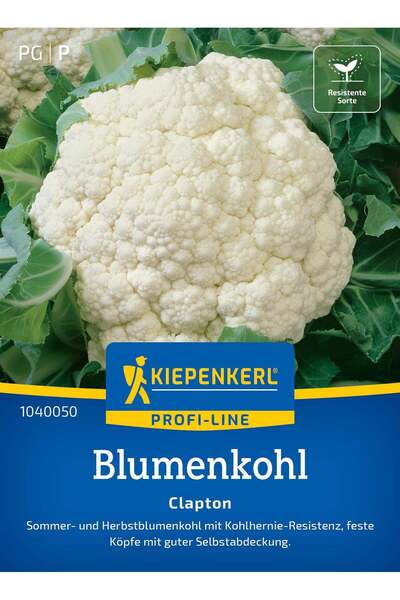 Kiepenkerl Seminte conopida Clapton F1 – rezistenta la boli si inflorire unif...