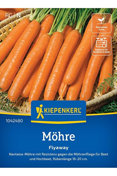Kiepenkerl Seminte morcov Flyaway F1 – rezistent la musca morcovului, cu prot...