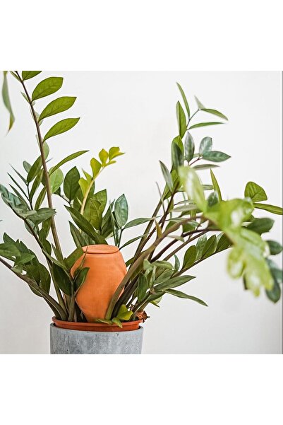 LUTOYA Blue Self-Watering Plant Vessel, Decorative Terracotta Ceramic, 200 ml