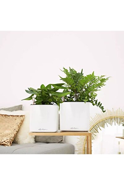 Lechuza CUBE Glossy 14 Self-Watering Pot, Glossy White