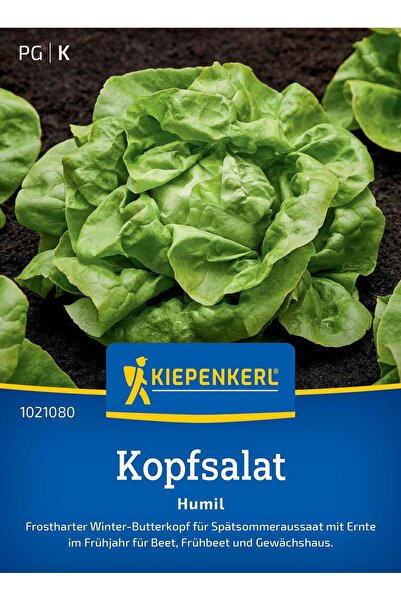 Kiepenkerl Seminte salata capatana Humil – gust echilibrat si frunze mari, cu...