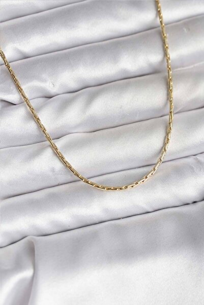 Lisinya 14K Gold Renk Kaplama İnce Zincir Model CM Kadın Kolye -