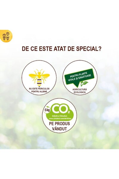 Solabiol spray insecticide for overwintering pests on fruit trees & ornamentals, 500 ml -