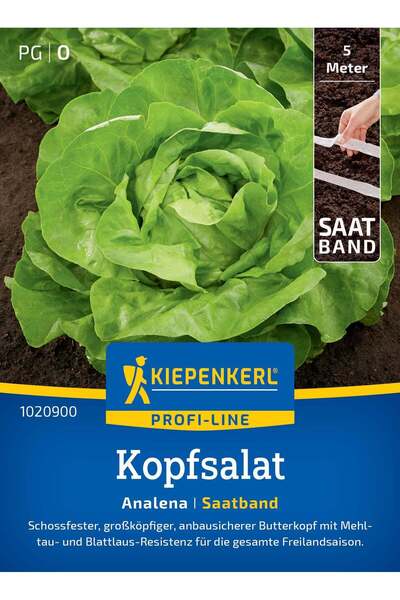 Kiepenkerl Seminte salata capatana Analena – productie uniforma si frunze ver...