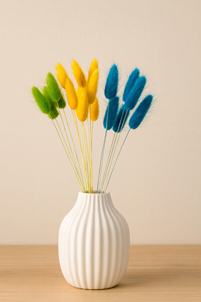 Fest Pamukotu kurutulmuş şoklanmış çiçek yeşil sarı mavi 3 renk 30 dal