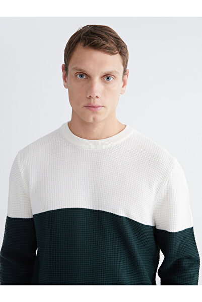 LC Waikiki Crew Neck Color Block Men's Knitwear Sweater