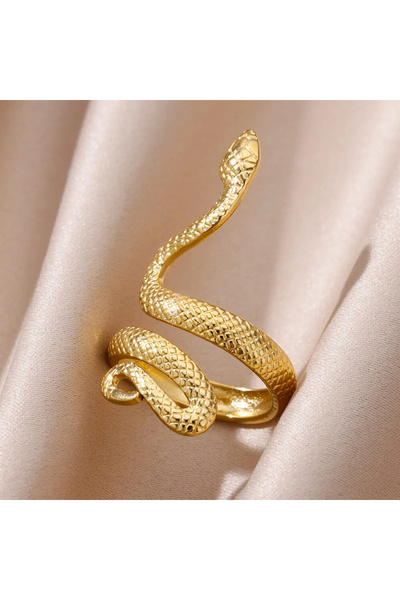 Choice خواتم ثعبان من الفولاذ المقاوم للصدأ قابلة للتغيير الحجم JZ5618G للنسا...