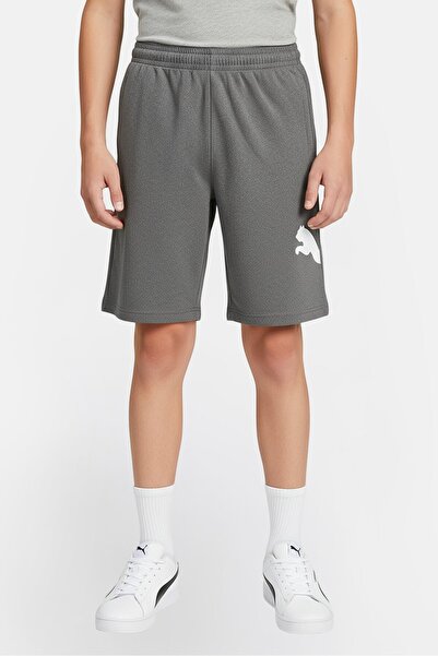 Puma Kids Boy Sportswear Fit Training Shorts, Grey