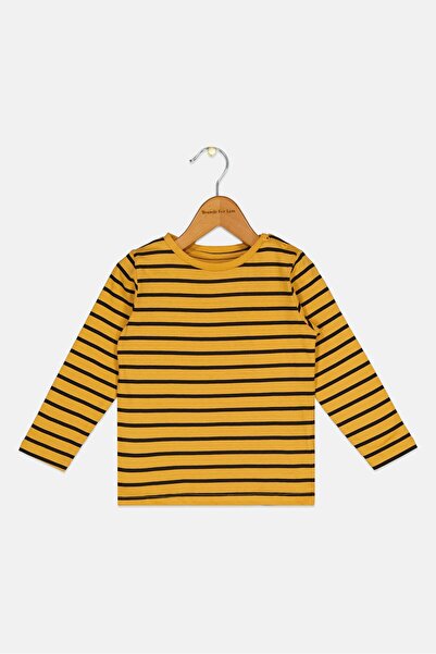 Sinsay بلوزة مخططة بأكمام طويلة للأولاد من مجموعة ثعلب وأرنب من تودلرز، متعدد...