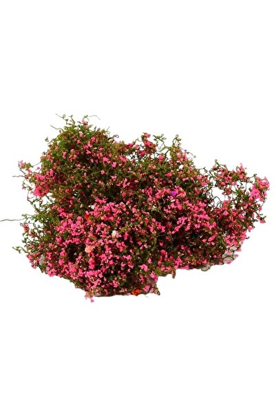 Choice نموذج نبات متسلق مصغر، أوراق صناعية للديوراما، مناظر السكك الحديدية التي تصنعها بنفسك، أوراق شجر مزيفة.