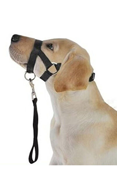 Choice8 كمامة كلب سوداء كبيرة الحجم، حبل جر فم الكلب، حبل تدريب الكلاب، غطاء ...