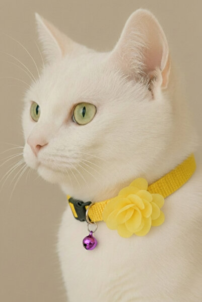 Cocopet Sarı Çiçekli Kedi Tasması