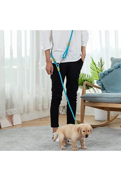 Choice Black a One-To-Two/One-To-One Dog Leash, Elastic Leash, Anti-Burst, Anti-Breakage, Pet Supplies, Dog