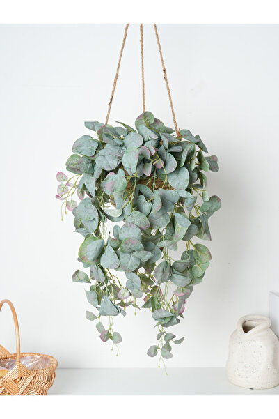 Choice إكليل حائط من نبات الأوكالبتوس الأخضر الأرجواني المصنوع من نبات الروطا...