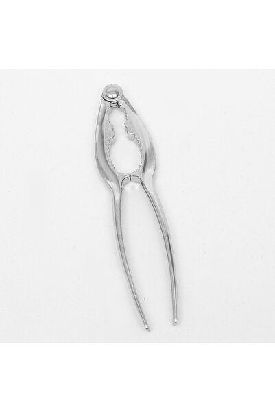 Choice كما في الصورة، قطعة واحدة من كسارة البندق المصنوعة من سبائك الزنك، كسا...