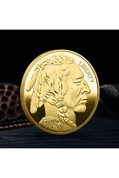 Choice 1pcs 2020 Indian 2019-2024 Multi-Year Commemorative Coins American Buffalo Gold-Plated Coins Commemo