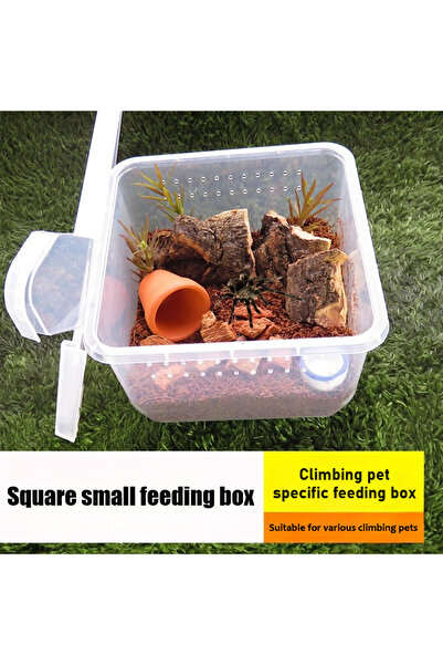 Choice 10x Feeding Box Reptile Cage Hatching Container Rearing Tank Clear Reptile Vivarium Terrarium Ins...